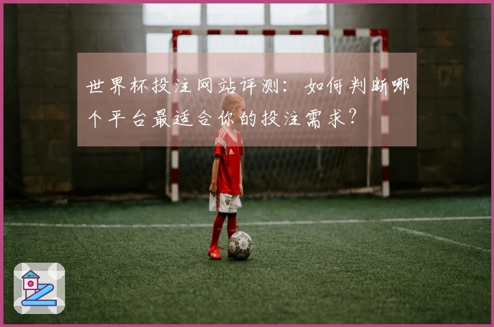 世界杯投注网站评测：如何判断哪个平台最适合你的投注需求？