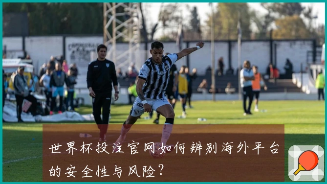 世界杯投注官网如何辨别海外平台的安全性与风险？