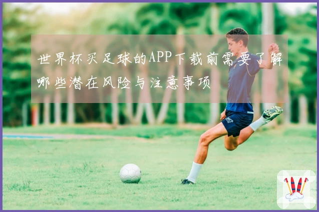 世界杯买足球的APP下载前需要了解哪些潜在风险与注意事项