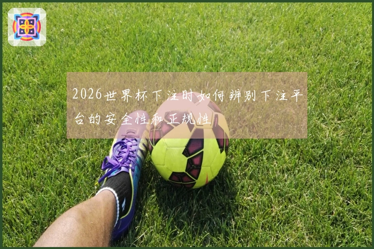 2026世界杯下注时如何辨别下注平台的安全性和正规性