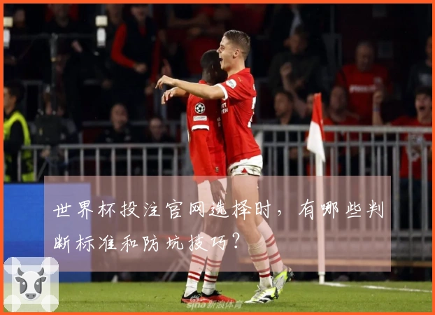 世界杯投注官网选择时，有哪些判断标准和防坑技巧？