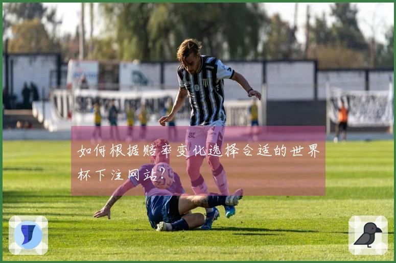 如何根据赔率变化选择合适的世界杯下注网站?