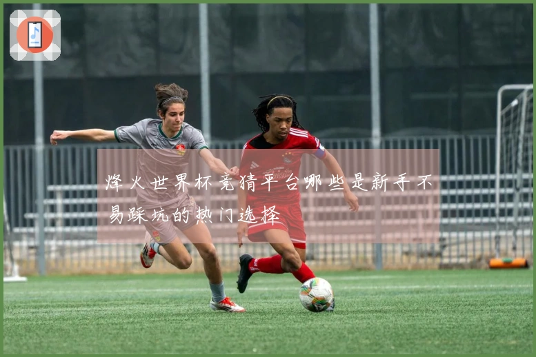 烽火世界杯竞猜平台哪些是新手不易踩坑的热门选择
