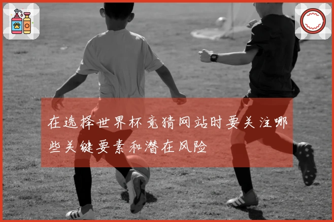 在选择世界杯竞猜网站时要关注哪些关键要素和潜在风险