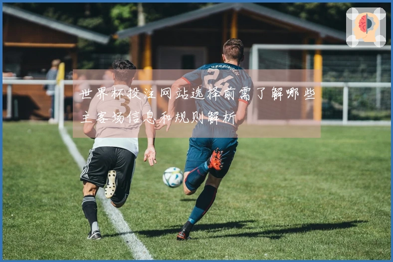 世界杯投注网站选择前需了解哪些主客场信息和规则解析