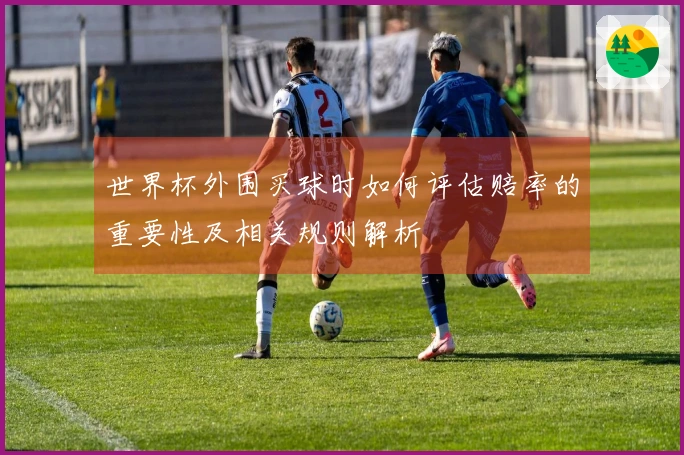 世界杯外围买球时如何评估赔率的重要性及相关规则解析