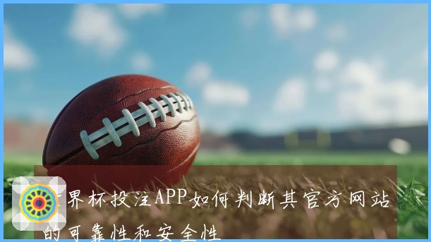 世界杯投注APP如何判断其官方网站的可靠性和安全性