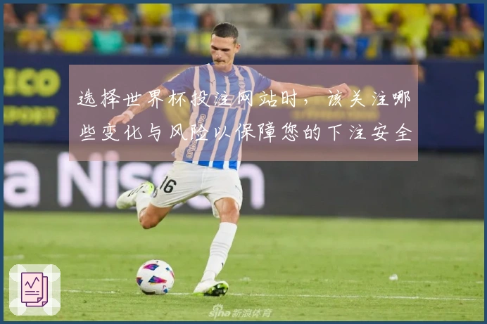 选择世界杯投注网站时，该关注哪些变化与风险以保障您的下注安全？