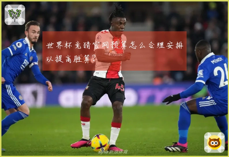 世界杯竞猜官网预算怎么合理安排以提高胜算？
