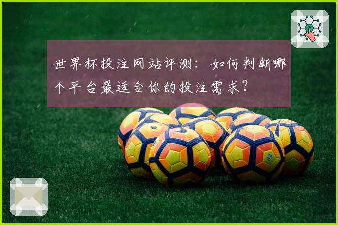 世界杯投注网站评测:如何判断哪个平台最适合你的投注需求?