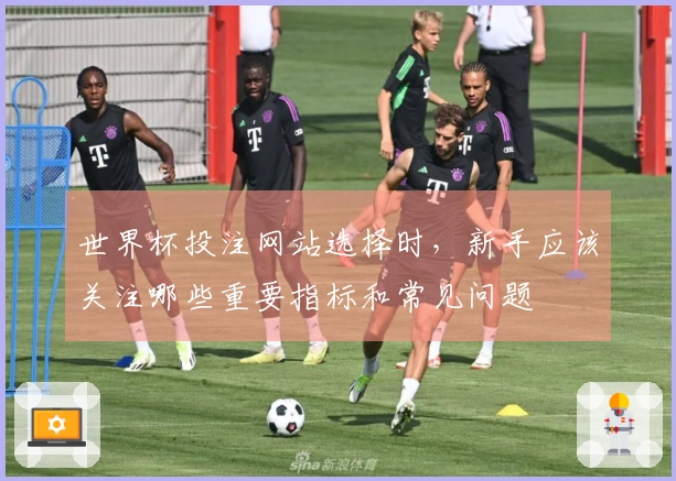 世界杯投注网站选择时，新手应该关注哪些重要指标和常见问题