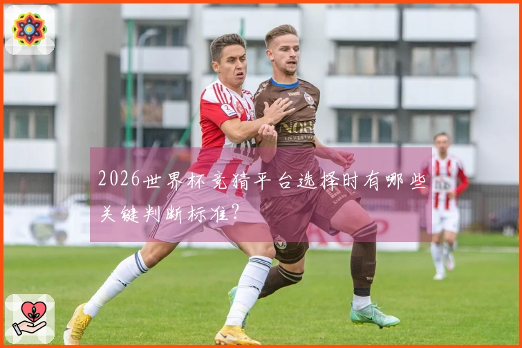 2026世界杯竞猜平台选择时有哪些关键判断标准？