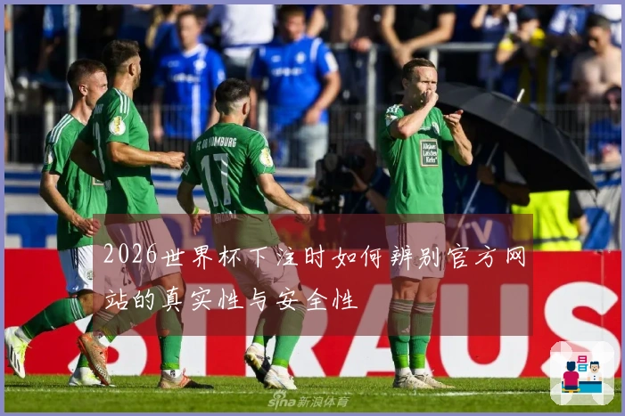 2026世界杯下注时如何辨别官方网站的真实性与安全性