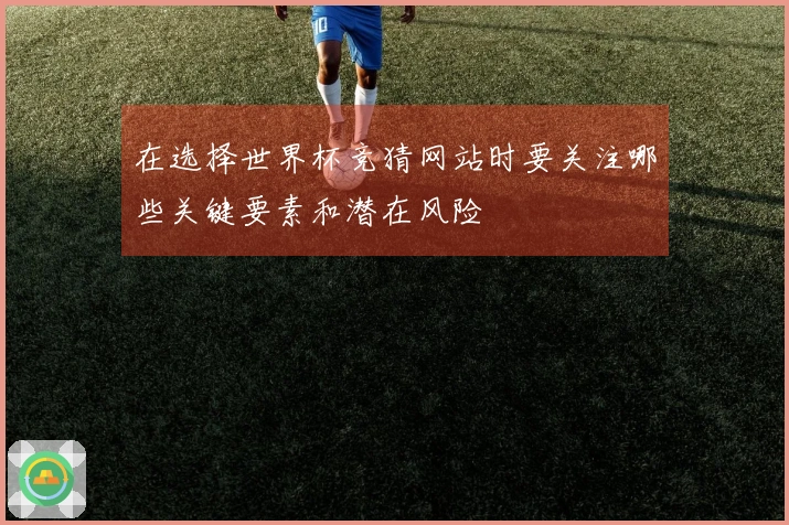 在选择世界杯竞猜网站时要关注哪些关键要素和潜在风险
