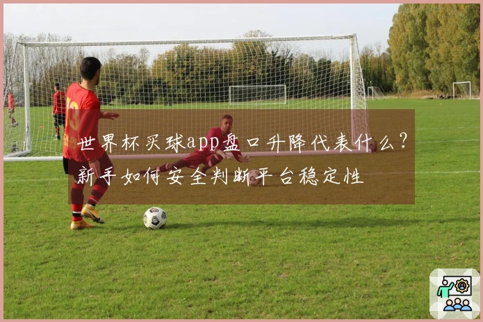 世界杯买球app盘口升降代表什么？新手如何安全判断平台稳定性