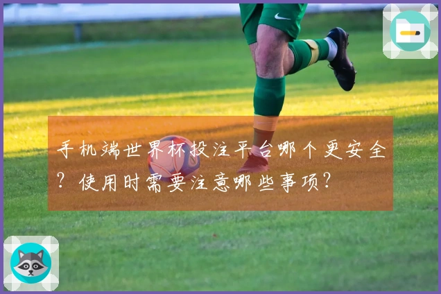 手机端世界杯投注平台哪个更安全？使用时需要注意哪些事项？