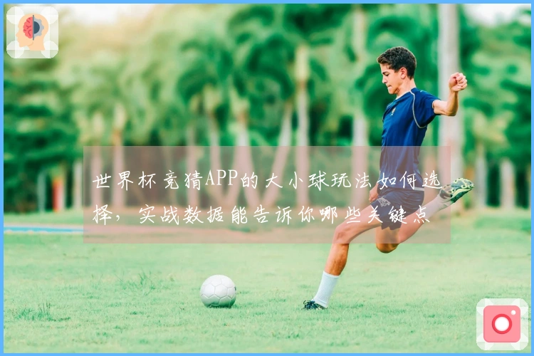 世界杯竞猜APP的大小球玩法如何选择，实战数据能告诉你哪些关键点？