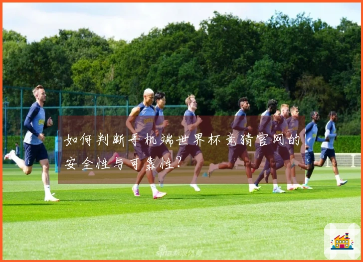 如何判断手机端世界杯竞猜官网的安全性与可靠性？