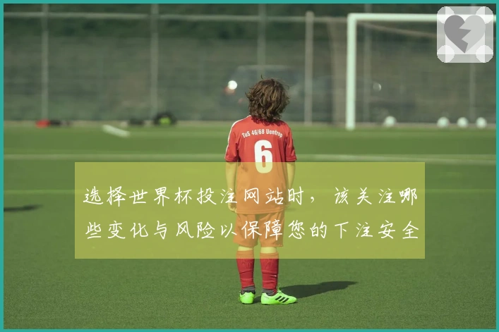 选择世界杯投注网站时，该关注哪些变化与风险以保障您的下注安全？