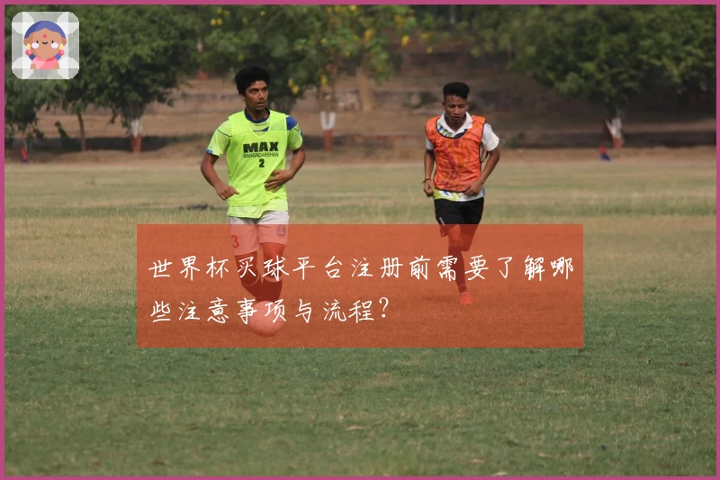 世界杯买球平台注册前需要了解哪些注意事项与流程？