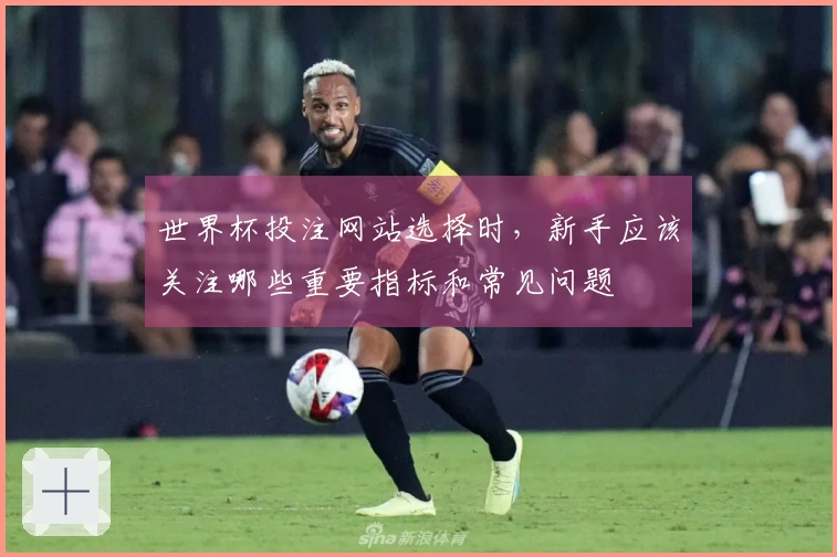 世界杯投注网站选择时，新手应该关注哪些重要指标和常见问题