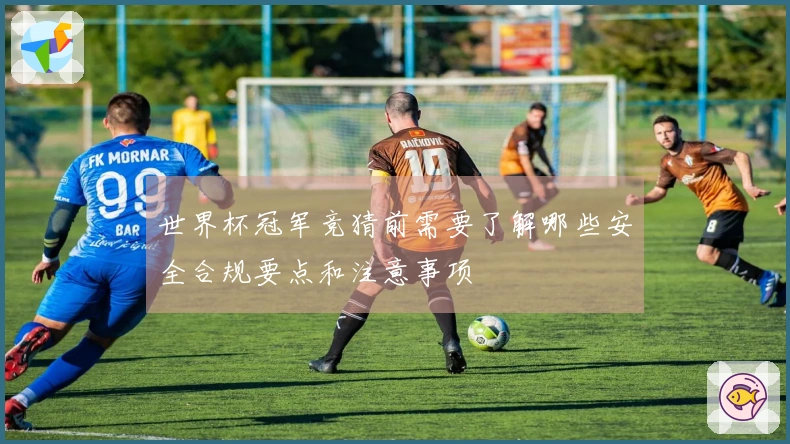 世界杯冠军竞猜前需要了解哪些安全合规要点和注意事项